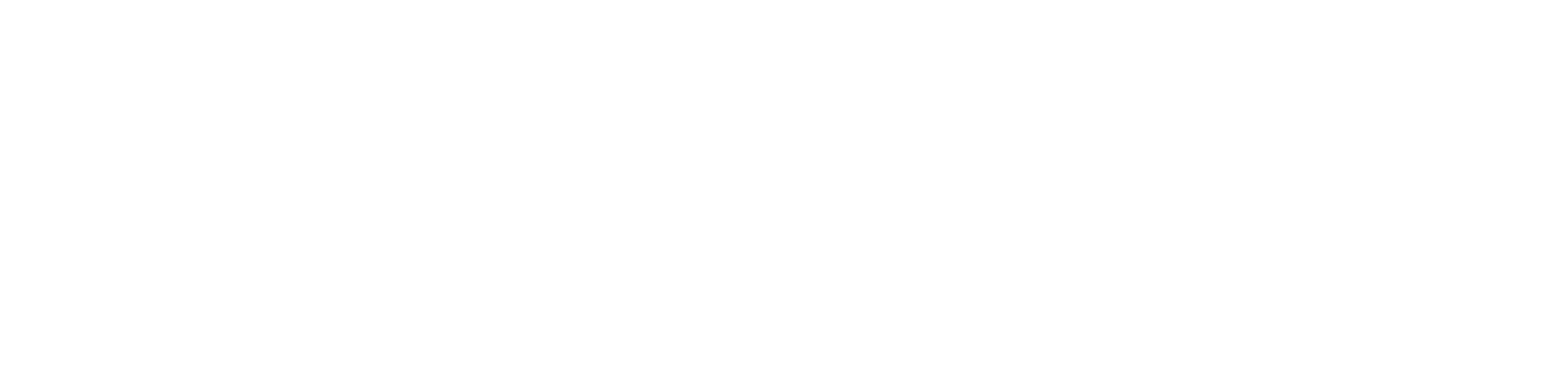 Logo Definity white